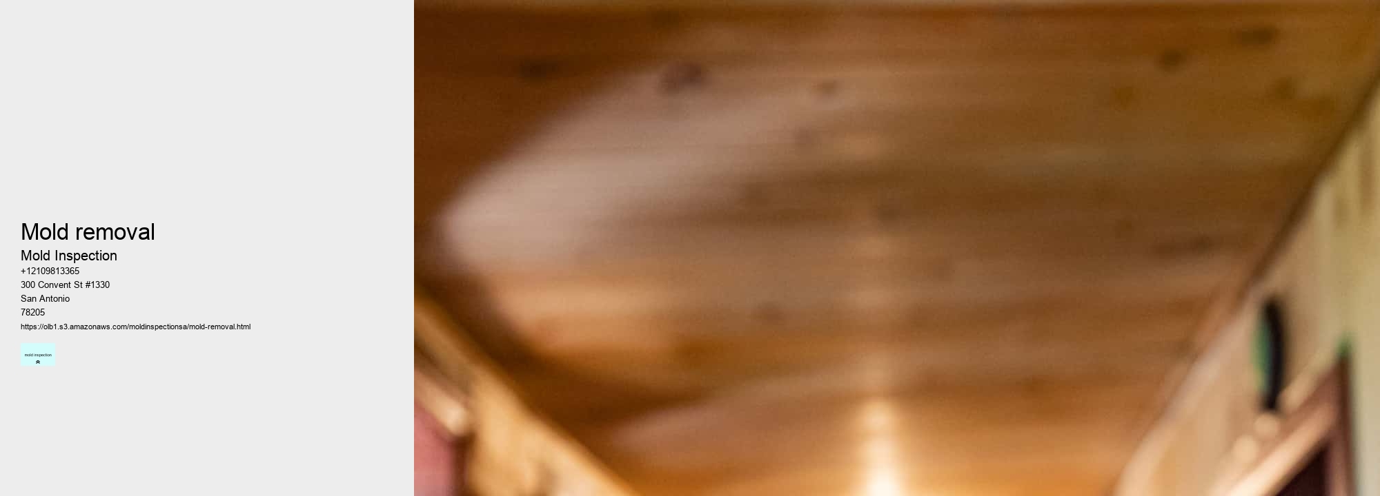 What are the Benefits of Professional Mold Inspections